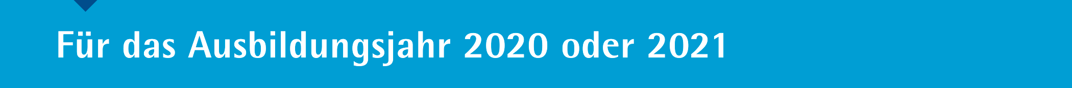 ausbildungsjahr2020_2021_5